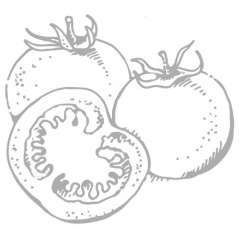 ico pomodori2
